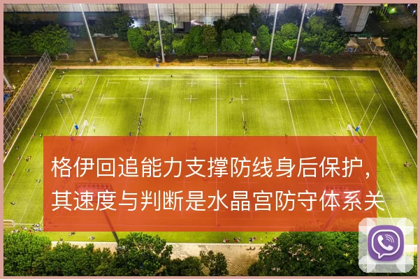 格伊回追能力支撑防线身后保护，其速度与判断是水晶宫防守体系关键